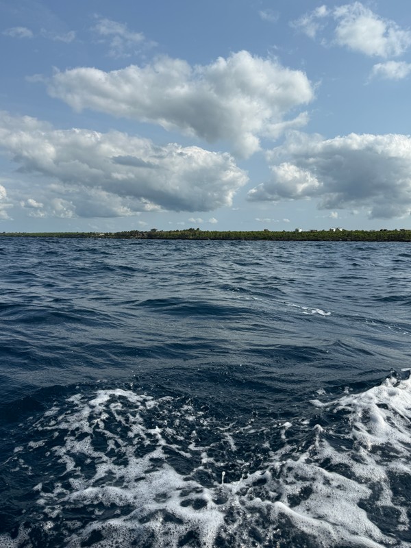 IMG_9368