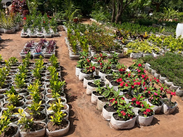 plant_shop